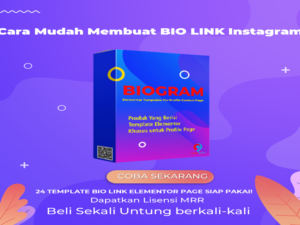Biogram 24 Json Biopage Elementor Lisensi MRR